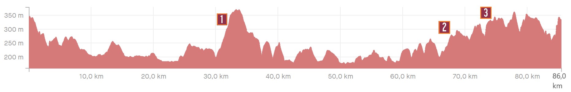 brevetto-strade-bianche-fast-and-silver-alt